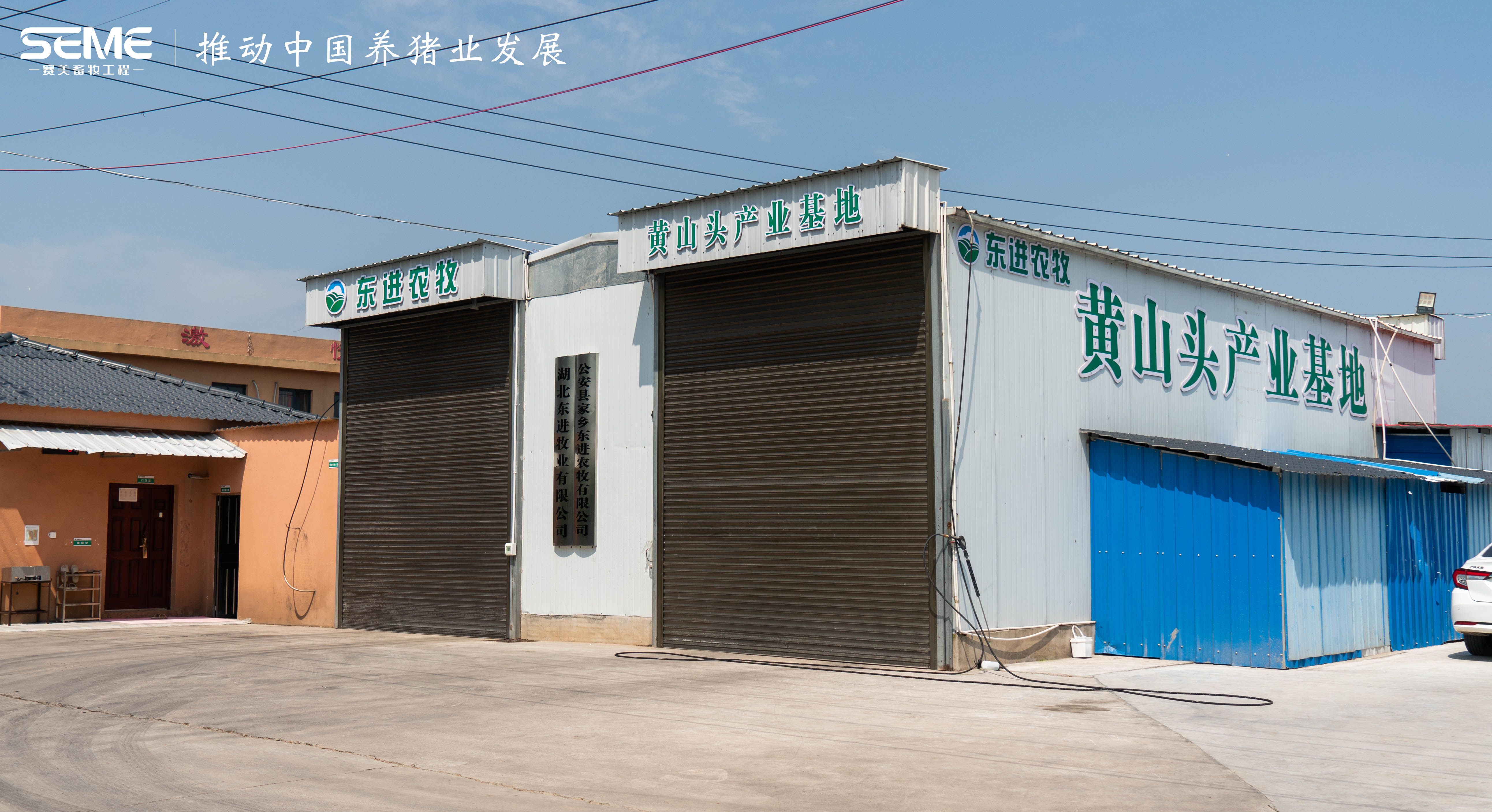 荊州 東進(jìn) 農(nóng)牧 養(yǎng)殖 養(yǎng)豬 基地