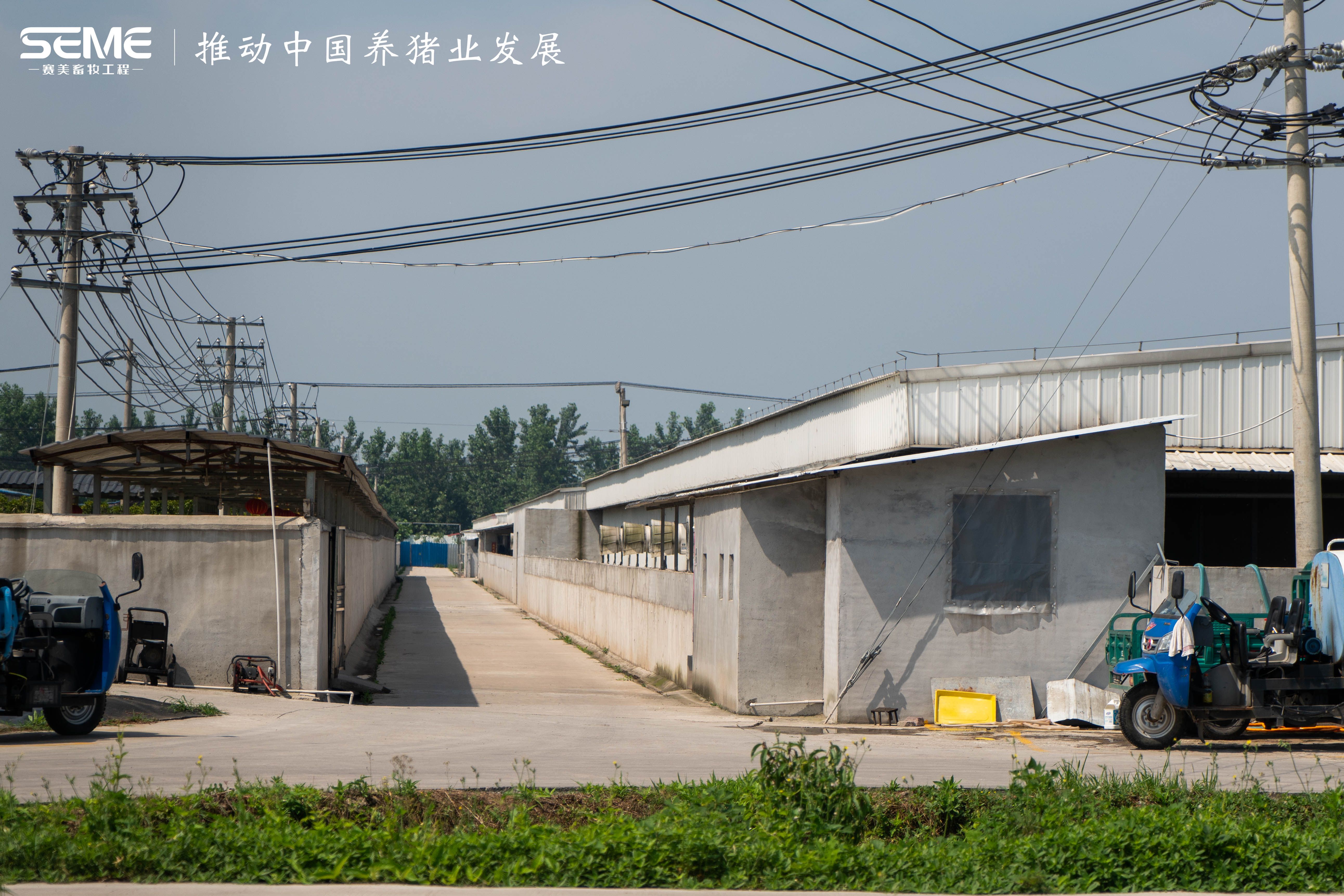 荊州 東進(jìn) 農(nóng)牧 養(yǎng)殖 養(yǎng)豬 基地