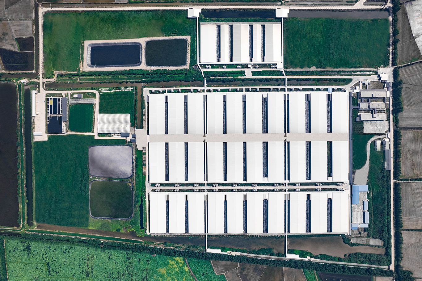 荊州 東進(jìn) 農(nóng)牧 養(yǎng)殖 養(yǎng)豬 基地